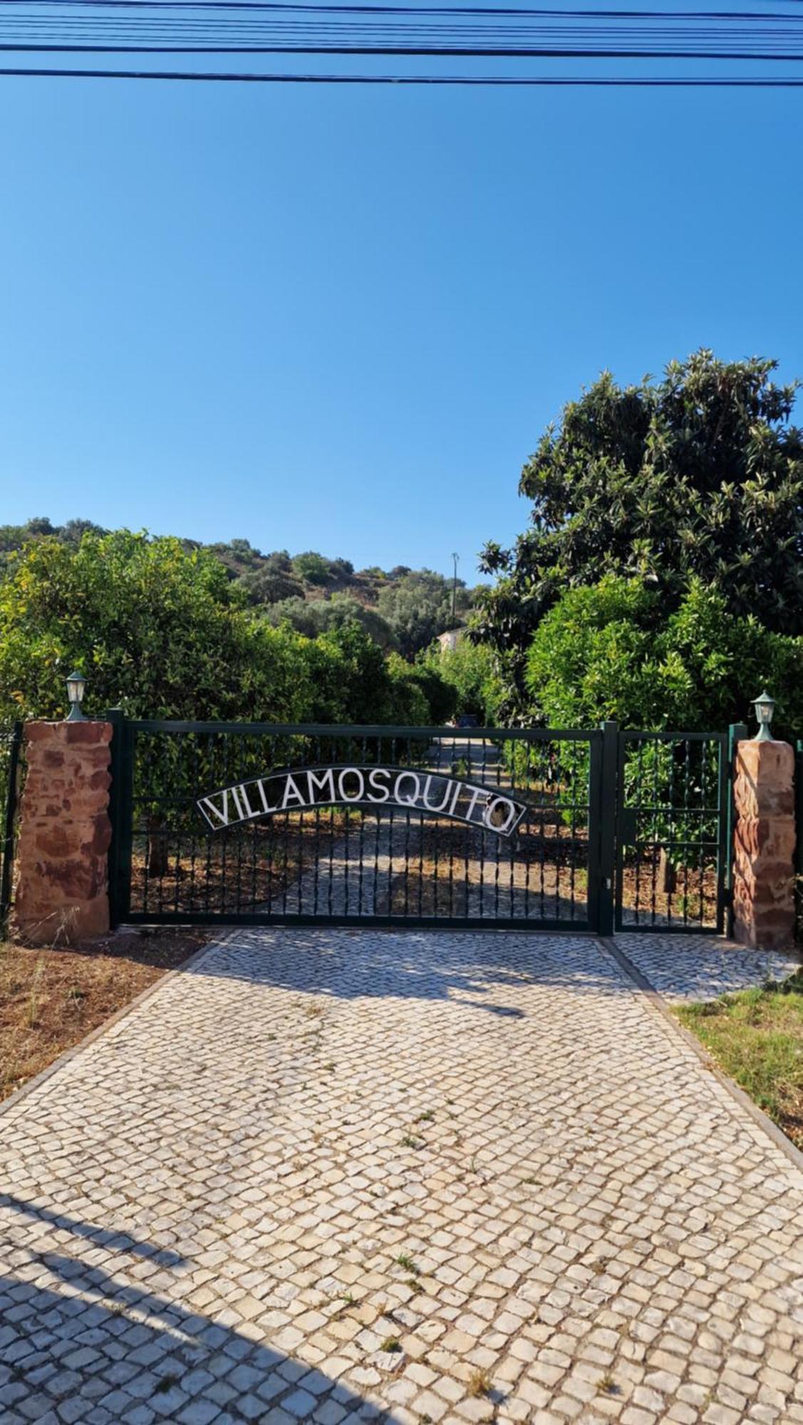 Chalet Villa Mosquito Silves Exteriér fotografie