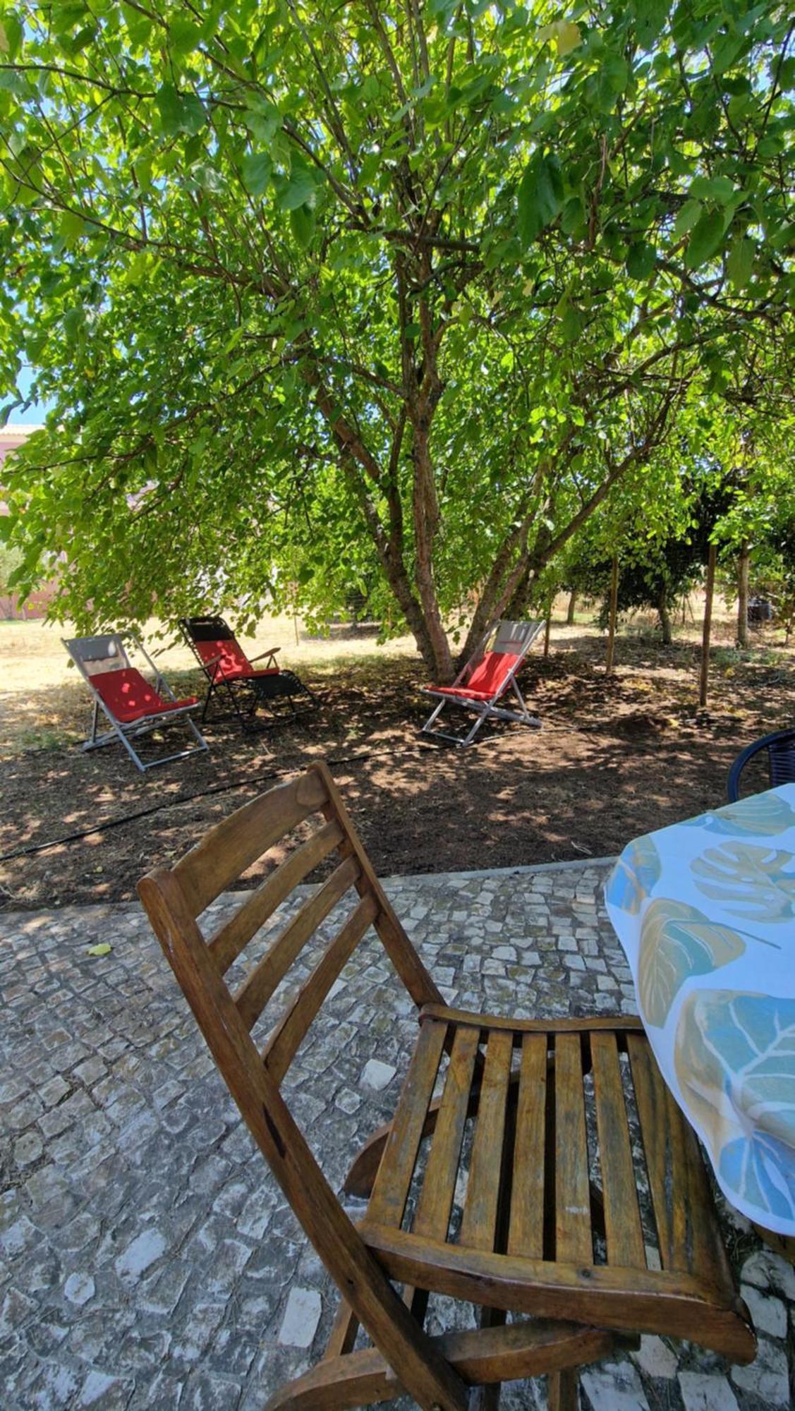Chalet Villa Mosquito Silves Exteriér fotografie