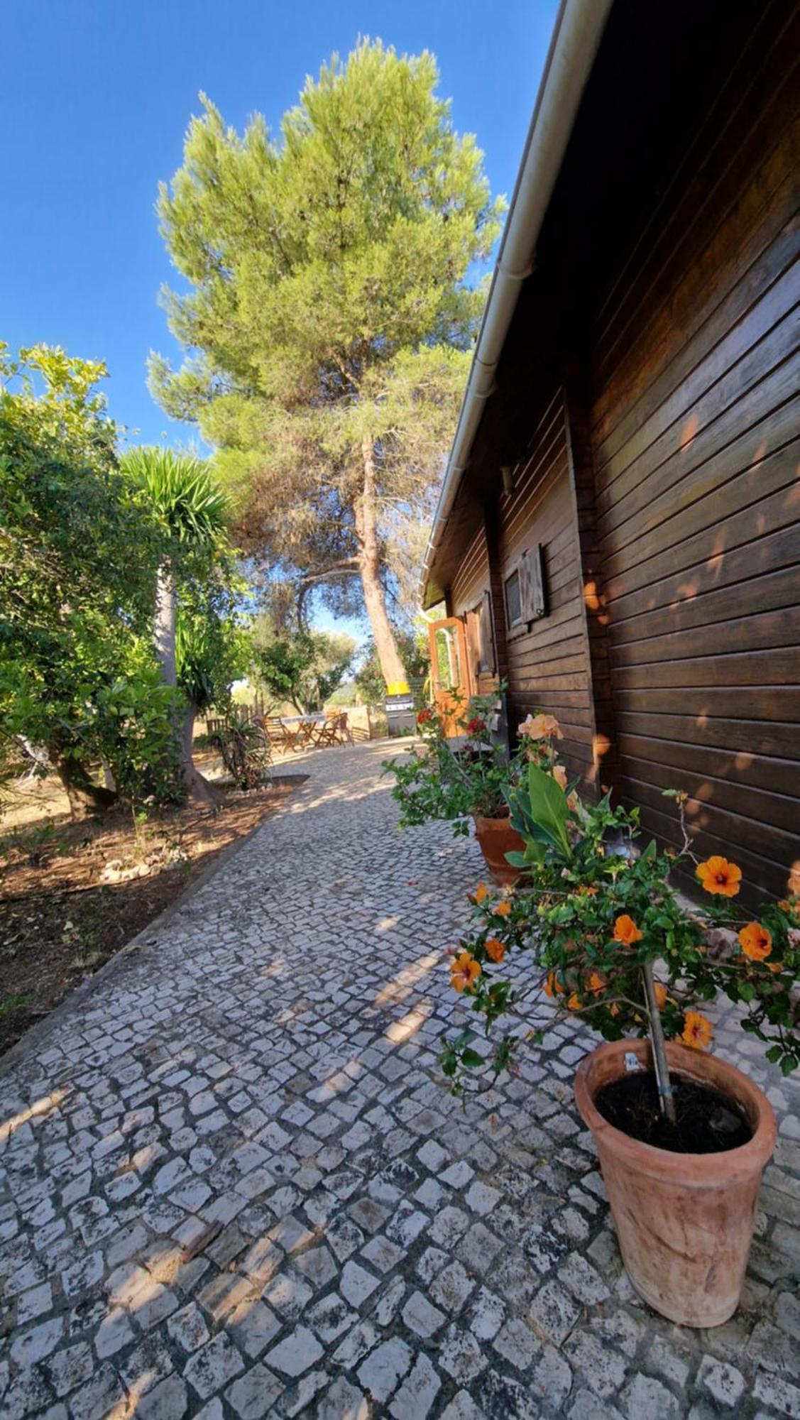 Chalet Villa Mosquito Silves Exteriér fotografie