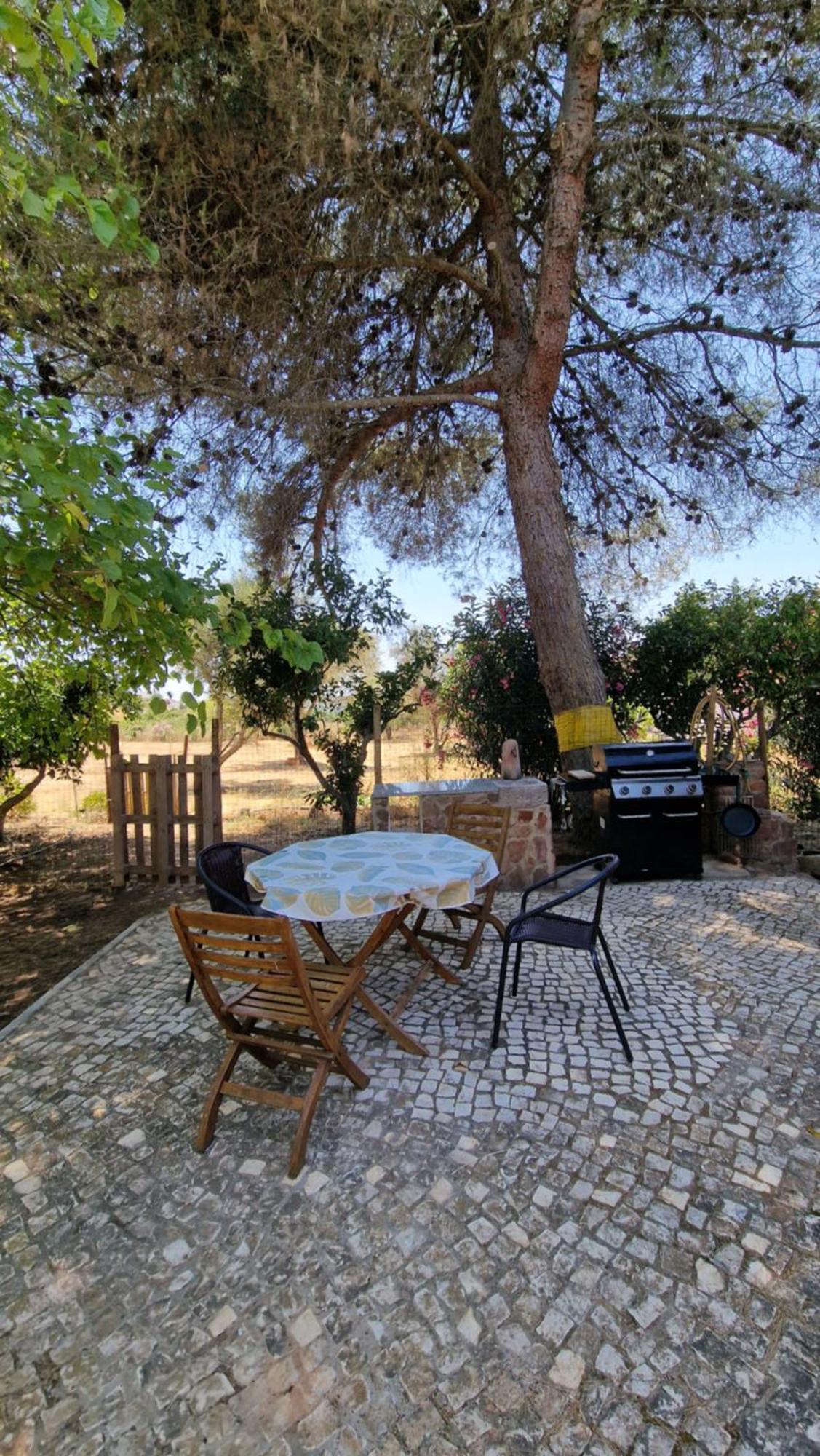 Chalet Villa Mosquito Silves Exteriér fotografie