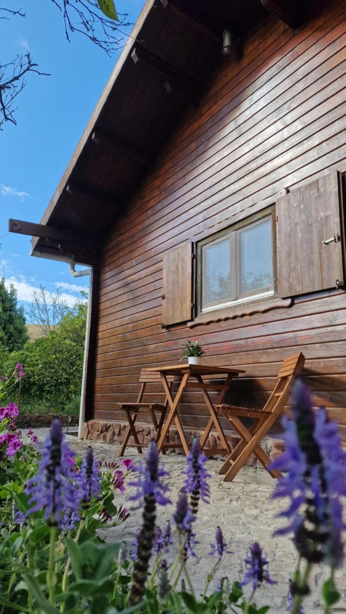 Chalet Villa Mosquito Silves Exteriér fotografie